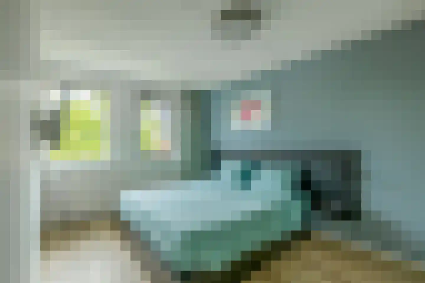 Intang 20 Lemmer thumbnail 37