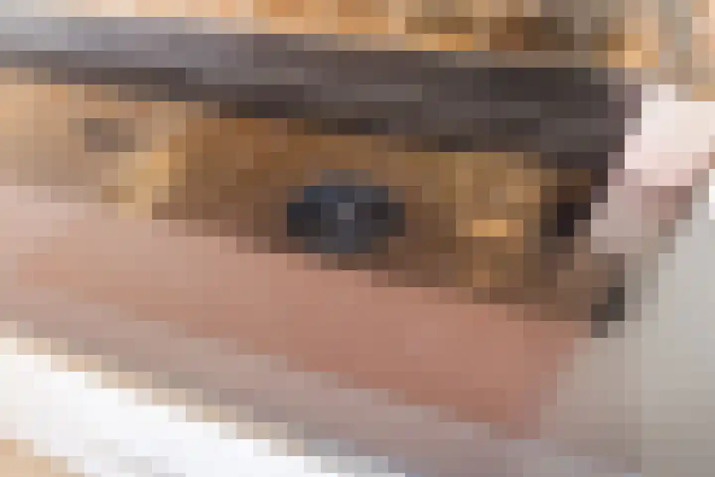 Intendanceweg 8 Eefde thumbnail 20