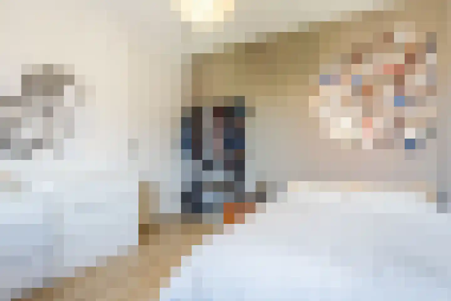 Intendanceweg 8 Eefde thumbnail 30