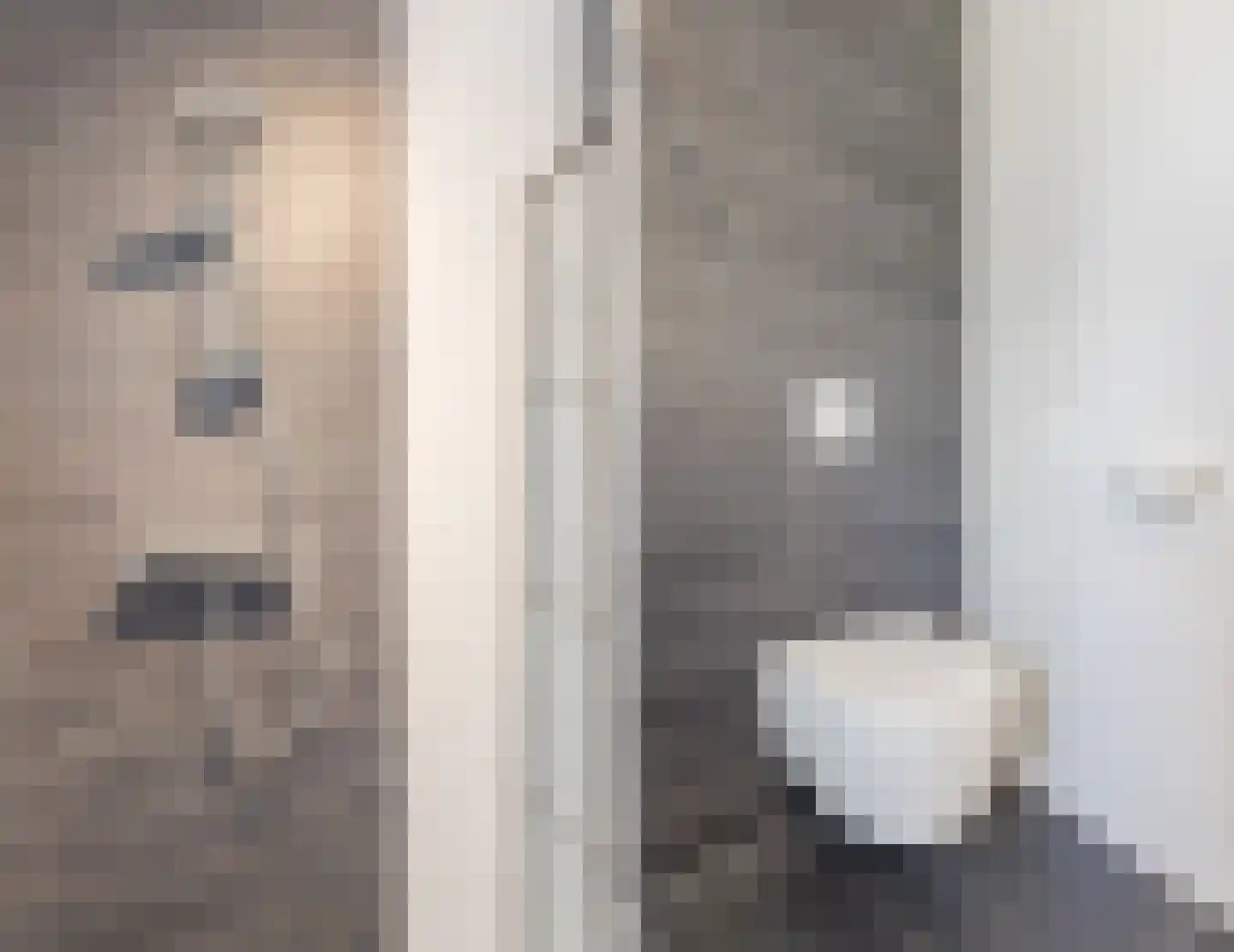 Intendanceweg 8 Eefde thumbnail 40