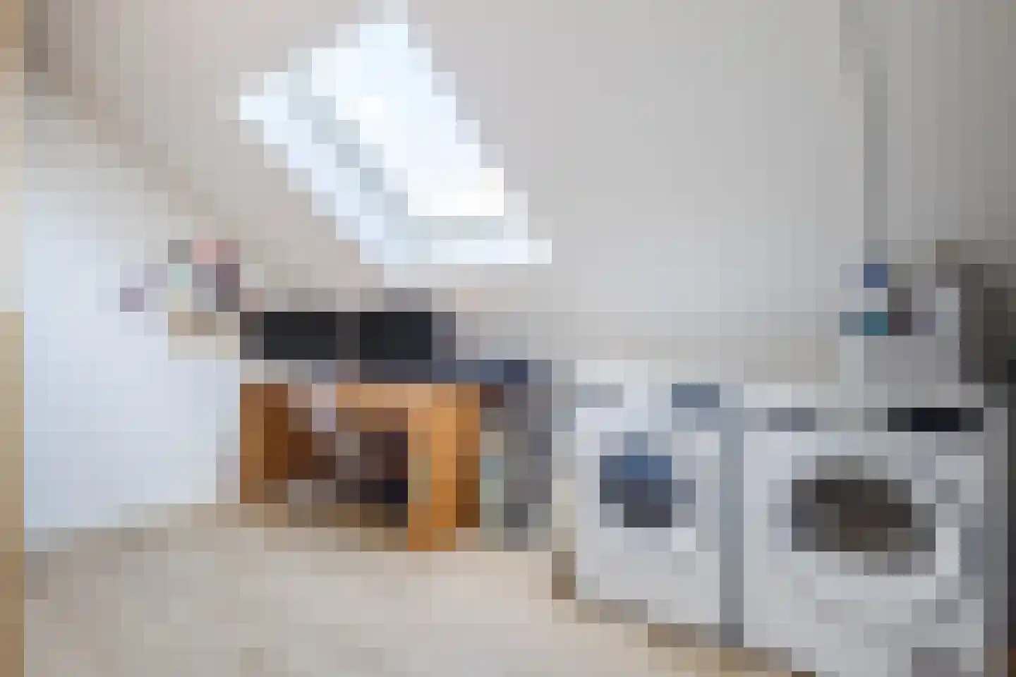 Intendanceweg 8 Eefde thumbnail 43
