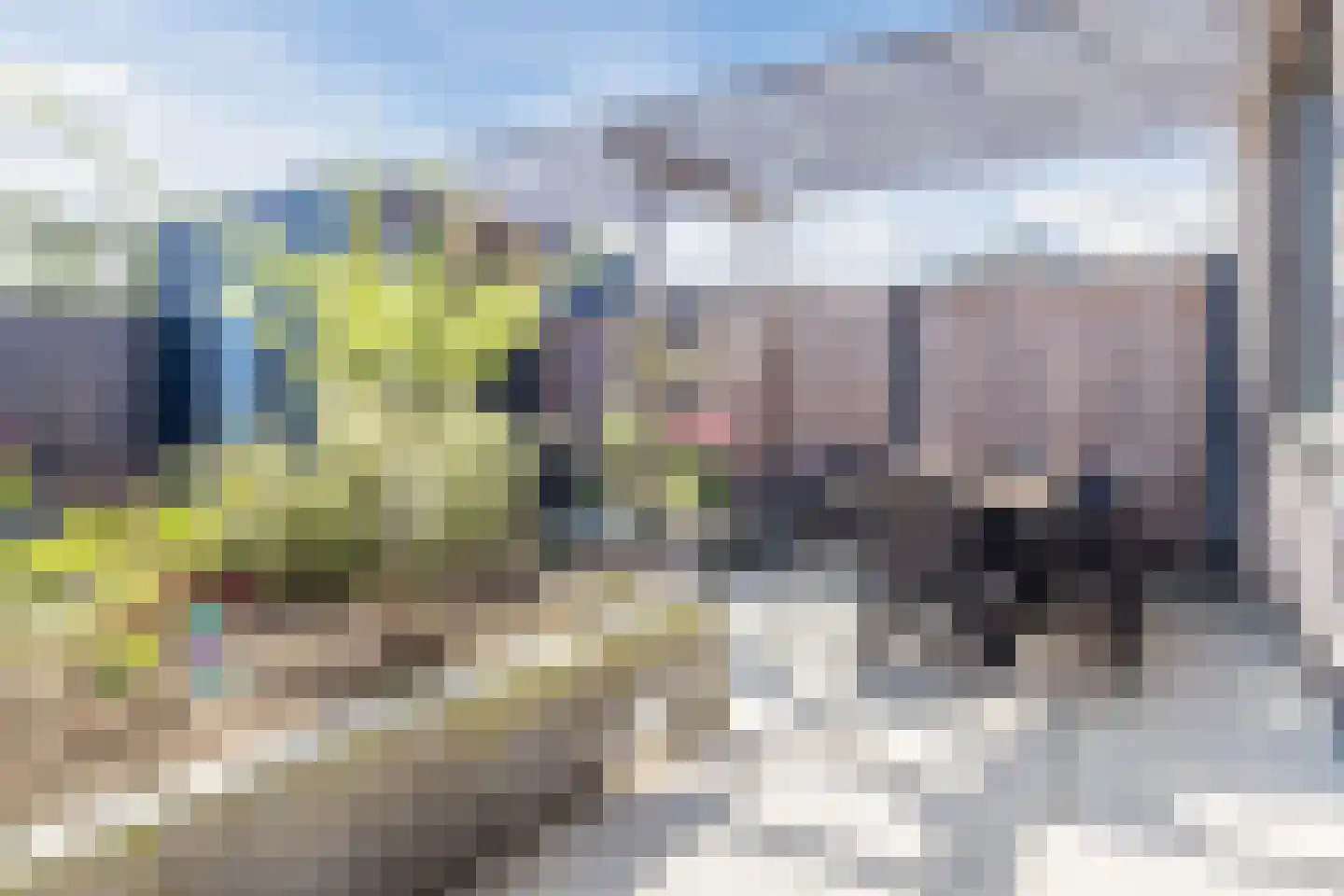 Intendanceweg 8 Eefde thumbnail 53