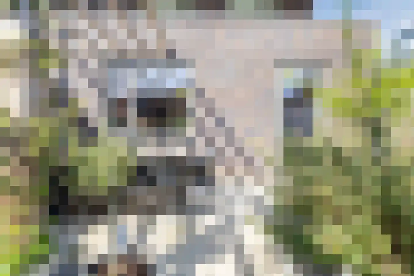Intendanceweg 8 Eefde thumbnail 56