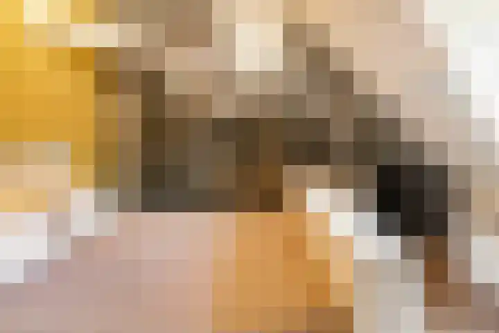 Bürofoto von Interhouse makelaars Haarlem