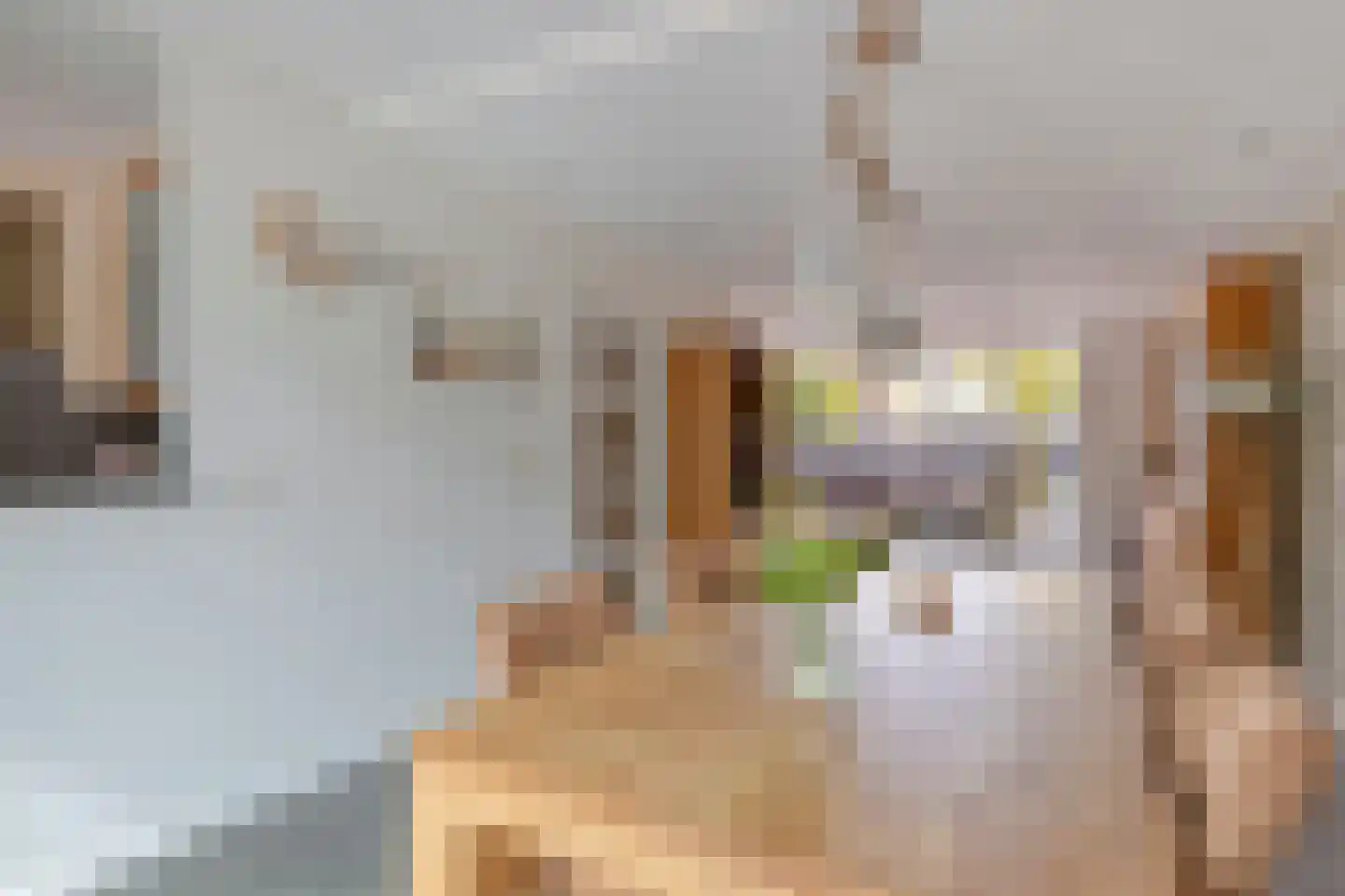 Internaatstraat 6 Best thumbnail 18