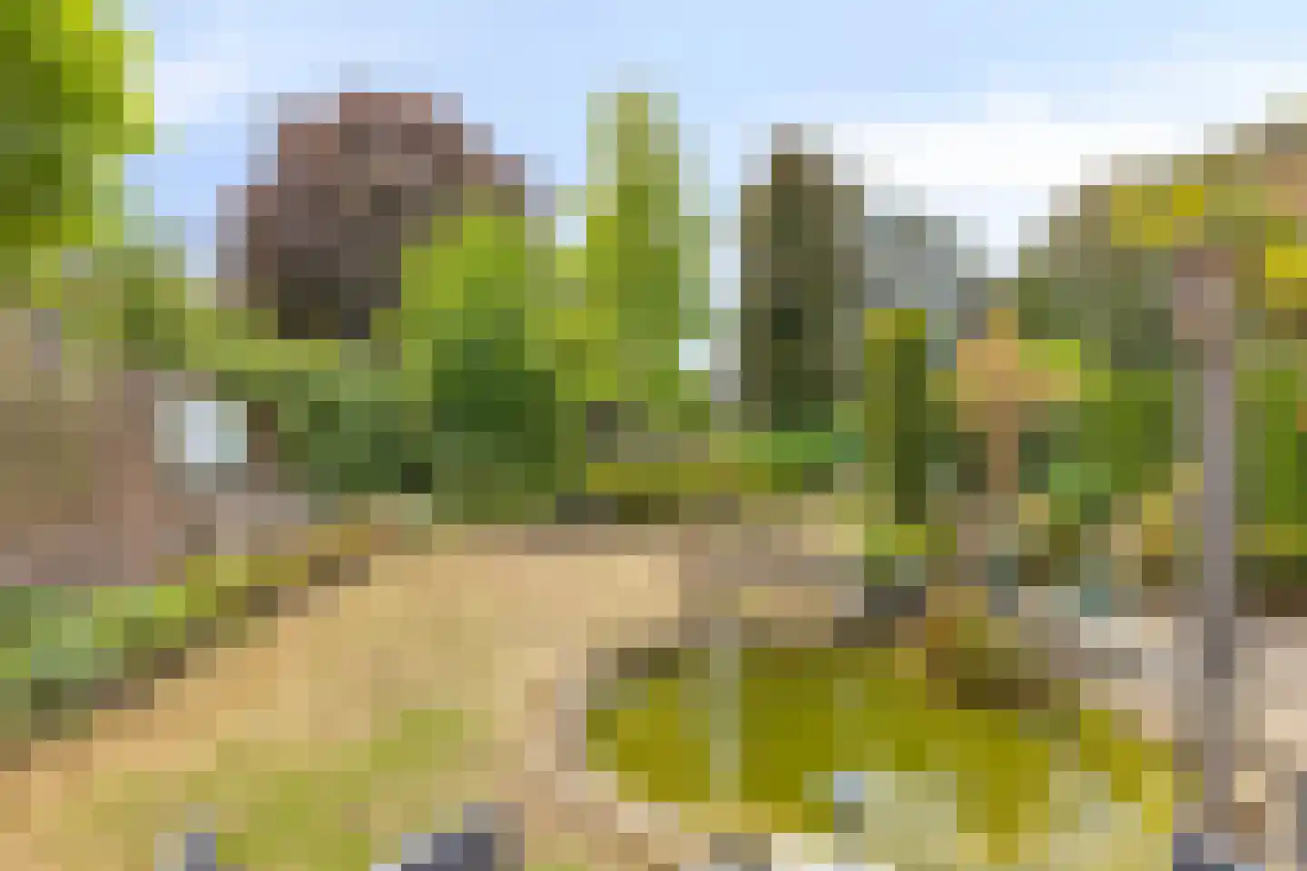 Internaatstraat 6 Best thumbnail 45
