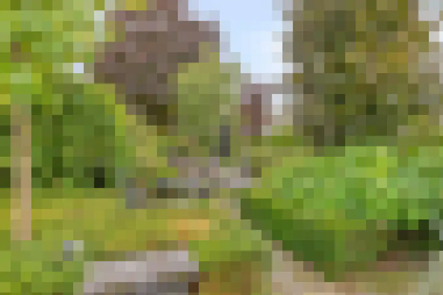 Internaatstraat 6 Best thumbnail 47