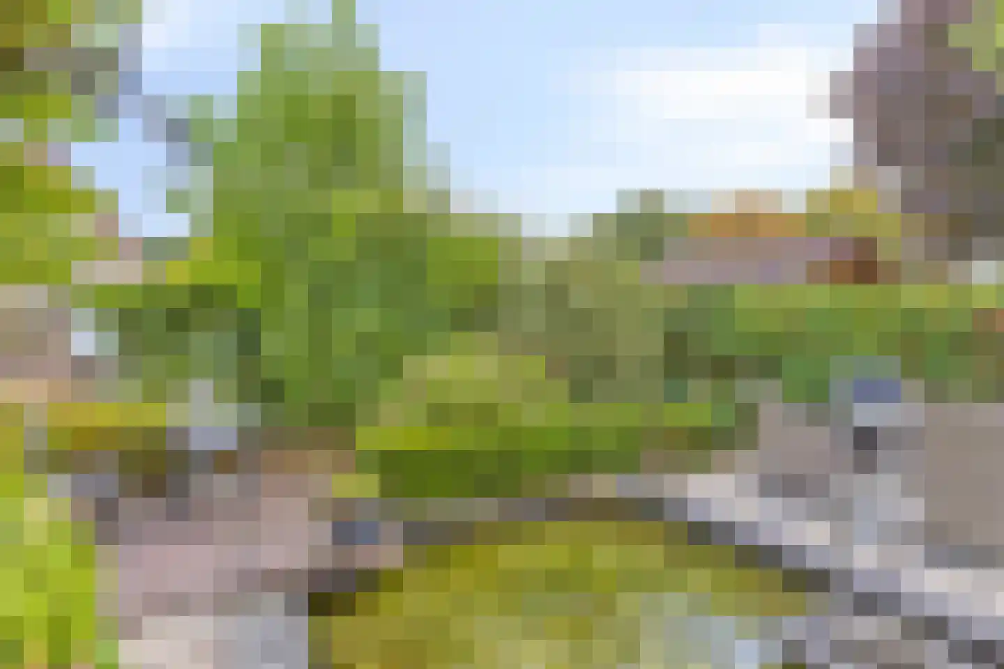 Internaatstraat 6 Best thumbnail 48