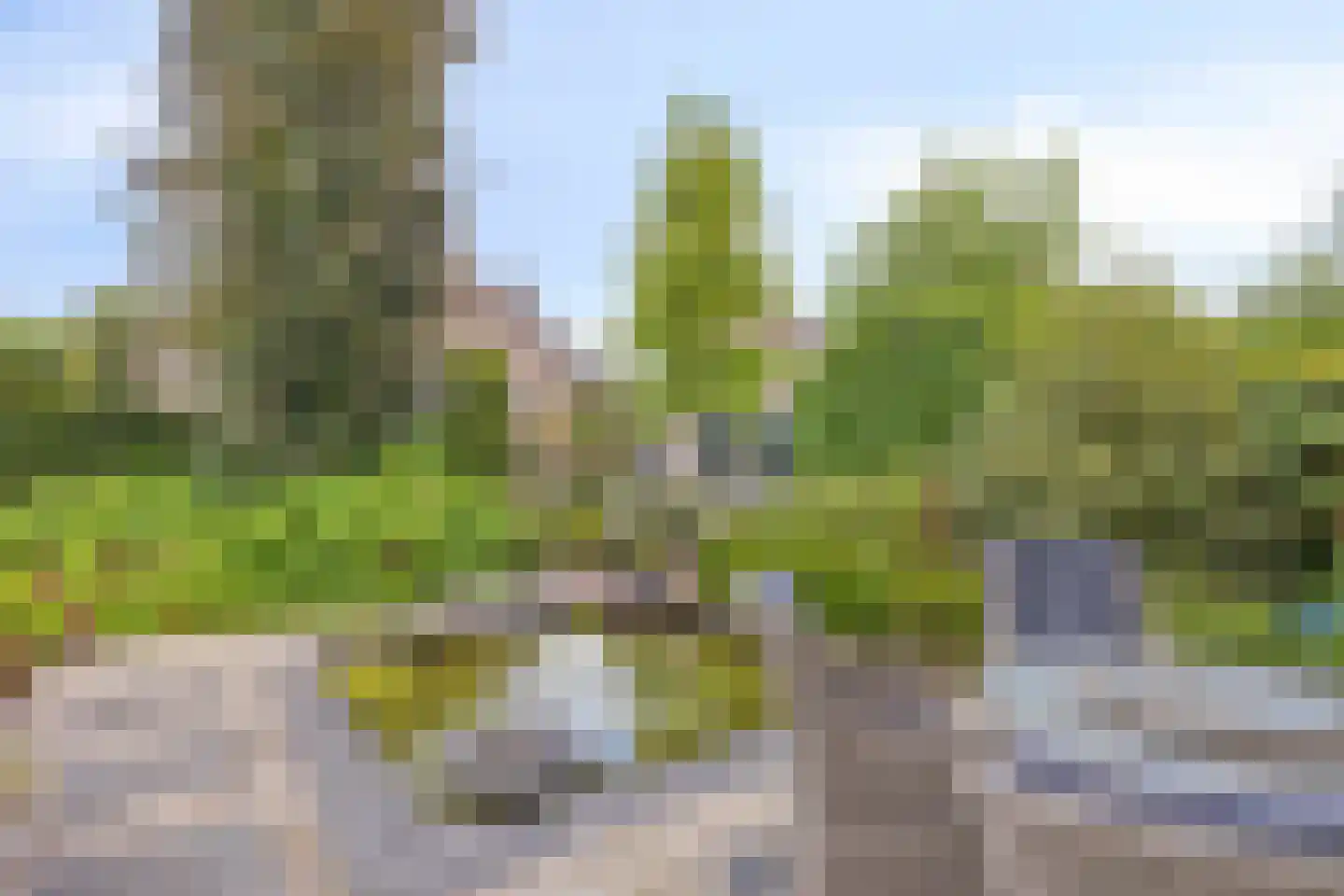 Internaatstraat 6 Best thumbnail 49