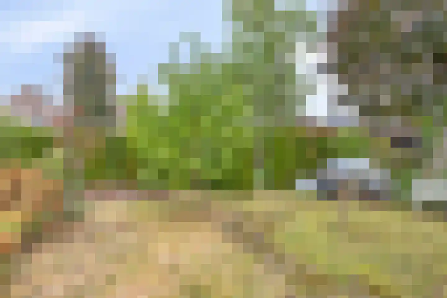 Internaatstraat 6 Best thumbnail 51