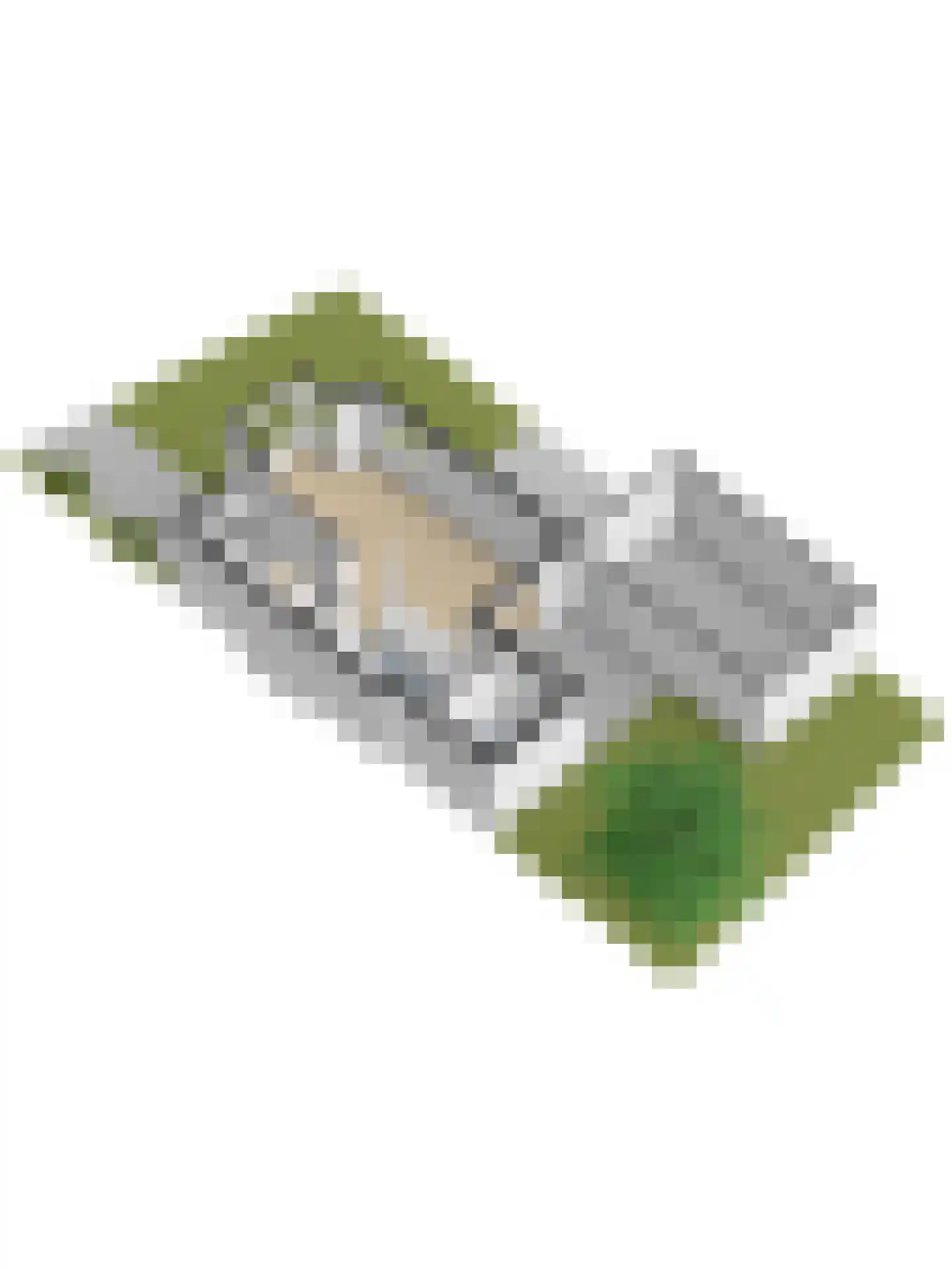 Inthiemasingel 18 Workum thumbnail 41