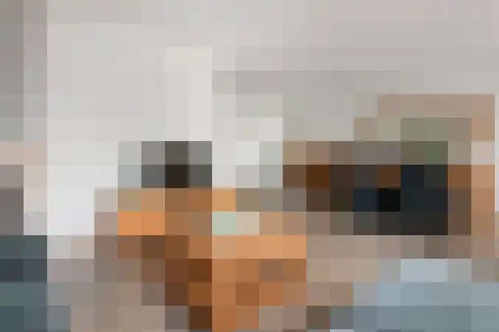 Inundatie 2 Vuren thumbnail 13