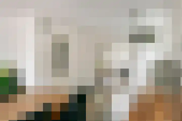 Inundatie 2 Vuren thumbnail 15