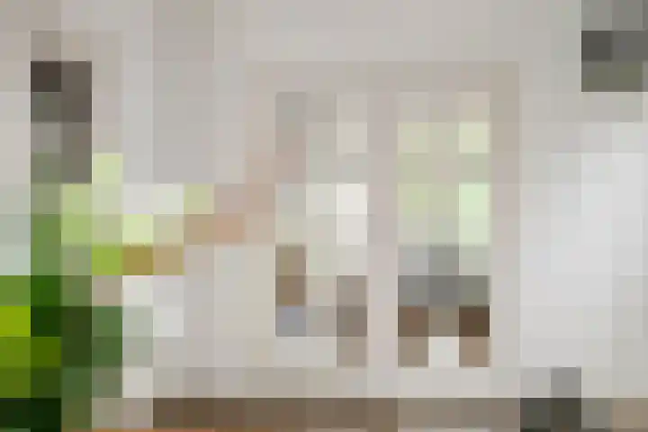 Inundatie 2 Vuren thumbnail 17
