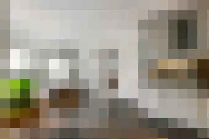 Inundatie 2 Vuren thumbnail 20