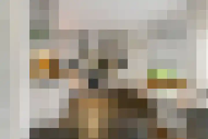 Inundatie 2 Vuren thumbnail 21
