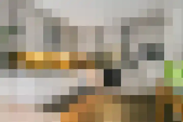 Inundatie 2 Vuren thumbnail 22