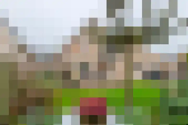 Inundatie 2 Vuren thumbnail 4