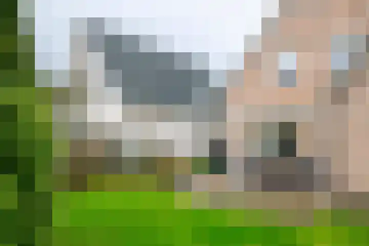 Inundatie 2 Vuren thumbnail 45