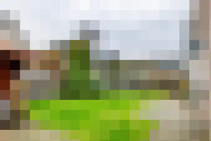 Inundatie 2 Vuren thumbnail 47