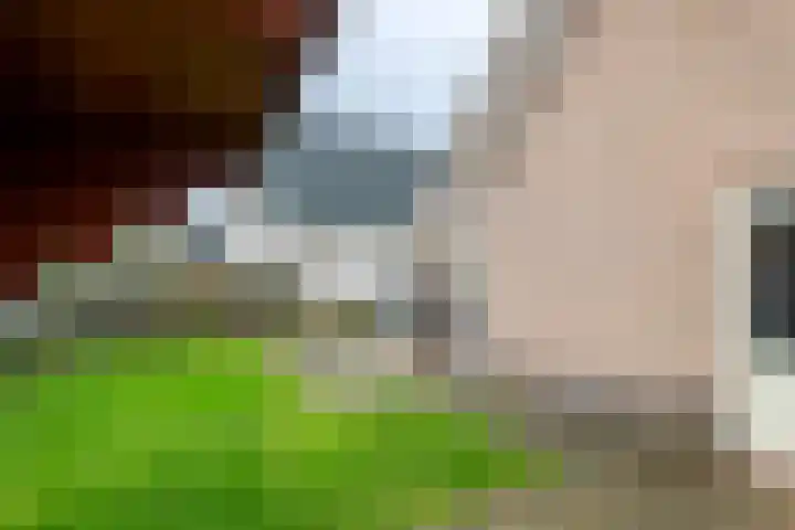 Inundatie 2 Vuren thumbnail 48