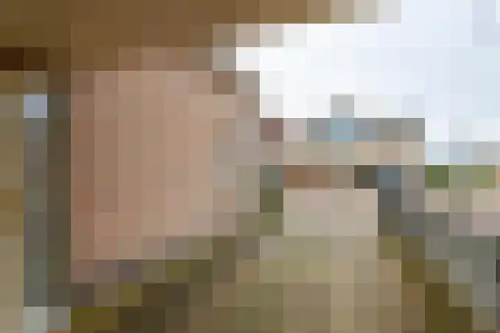 Inundatie 2 Vuren thumbnail 52