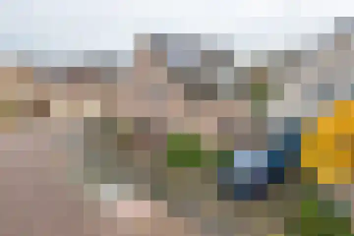 Inundatie 2 Vuren thumbnail 53