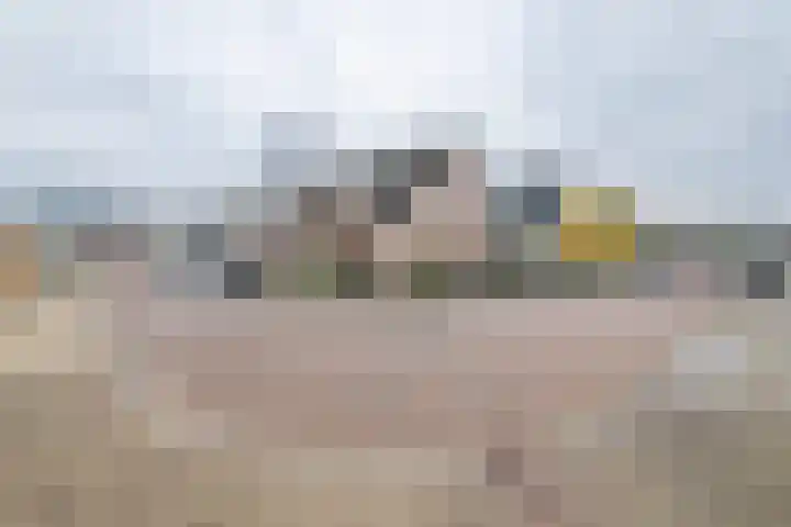 Inundatie 2 Vuren thumbnail 54