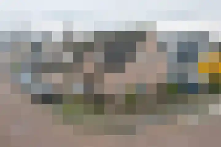 Inundatie 2 Vuren thumbnail 58