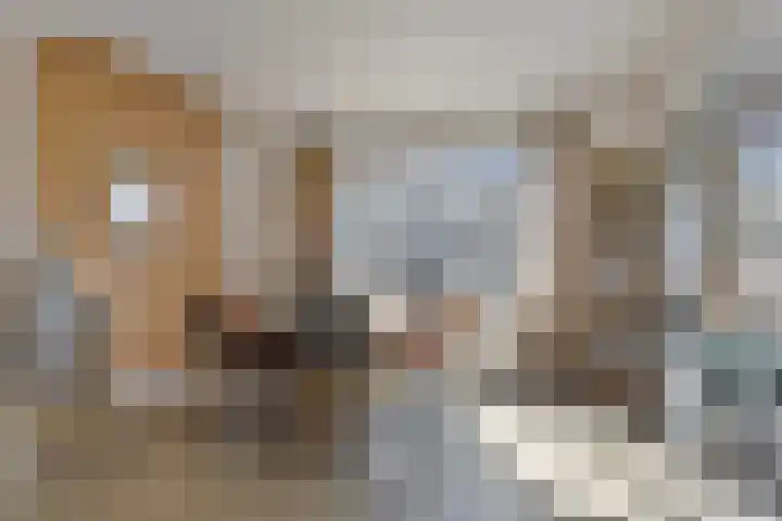 Inzet 23 Amsterdam thumbnail 11