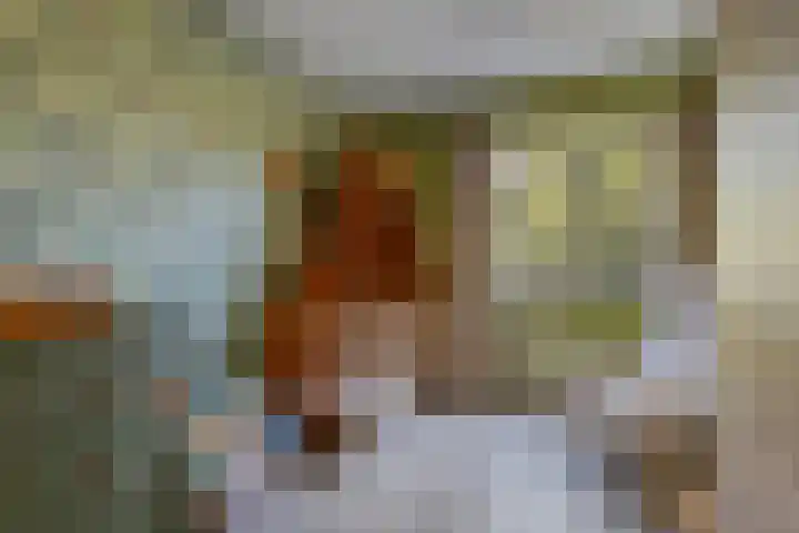 Inzet 23 Amsterdam thumbnail 18
