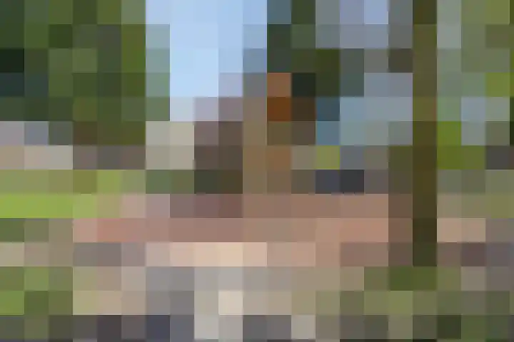 Inzet 23 Amsterdam thumbnail 19