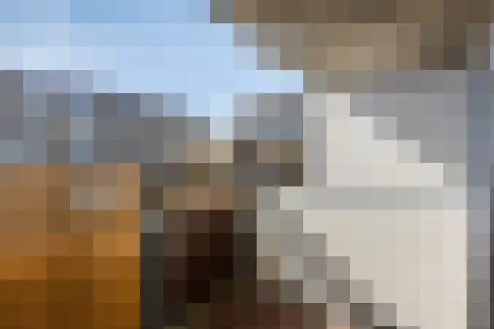 Inzet 23 Amsterdam thumbnail 24