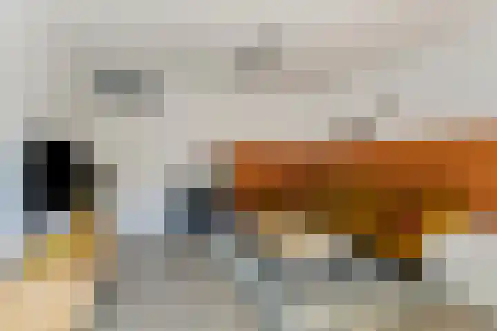 Inzet 23 Amsterdam thumbnail 6