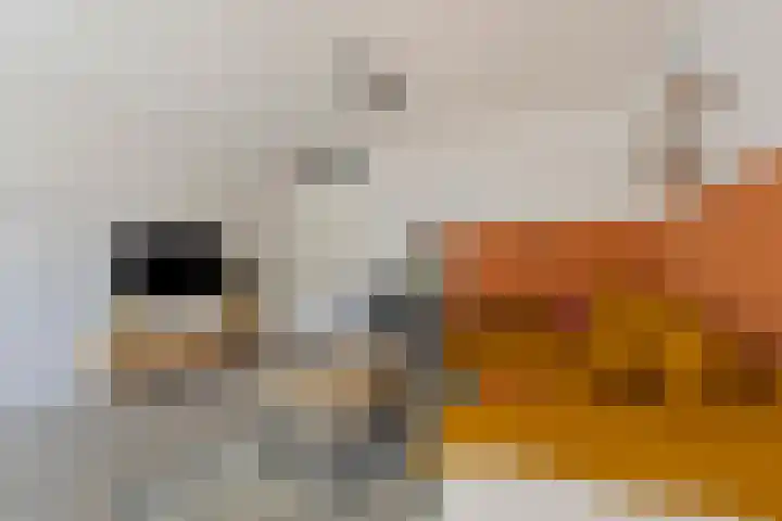 Inzet 23 Amsterdam thumbnail 7