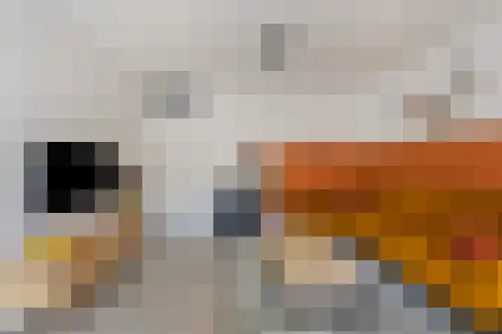 Inzet 23 Amsterdam thumbnail 8