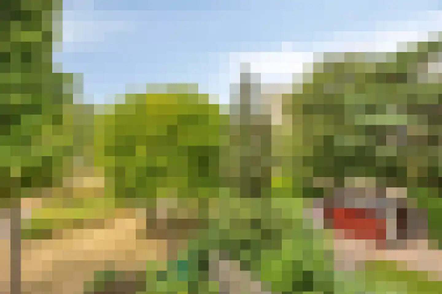 Inzet 26 Amsterdam thumbnail 27