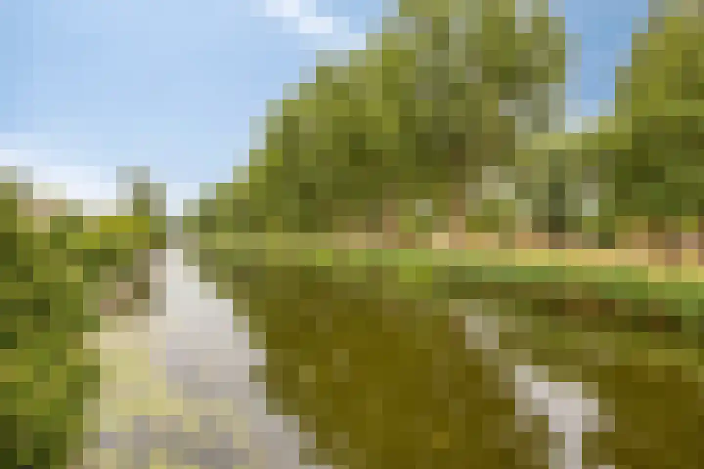 Inzet 26 Amsterdam thumbnail 30