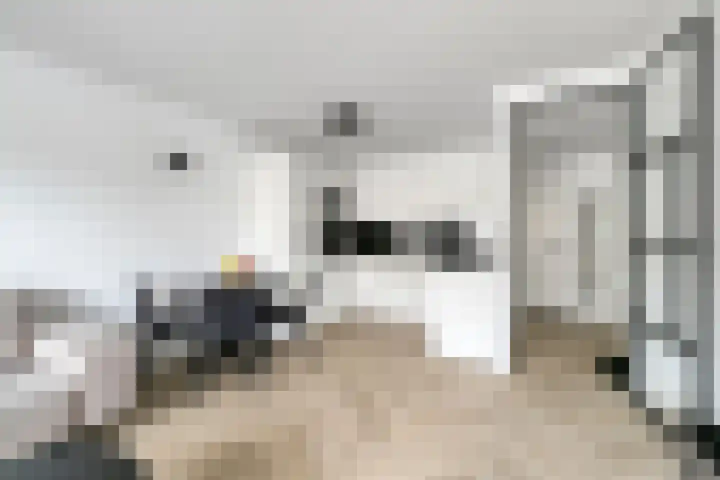 Inzet 29 Amsterdam thumbnail 10