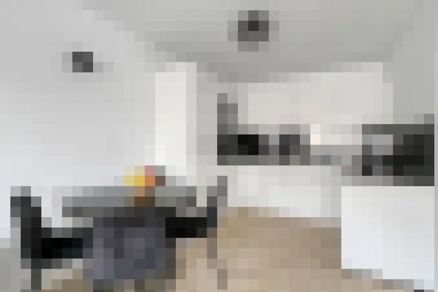 Inzet 29 Amsterdam thumbnail 15