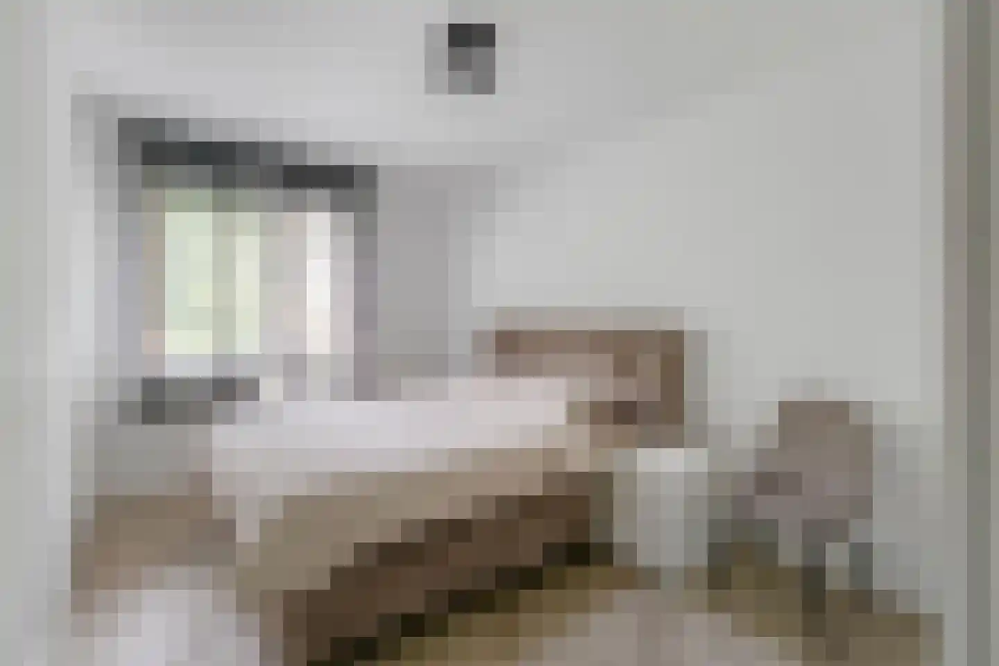 Inzet 29 Amsterdam thumbnail 17