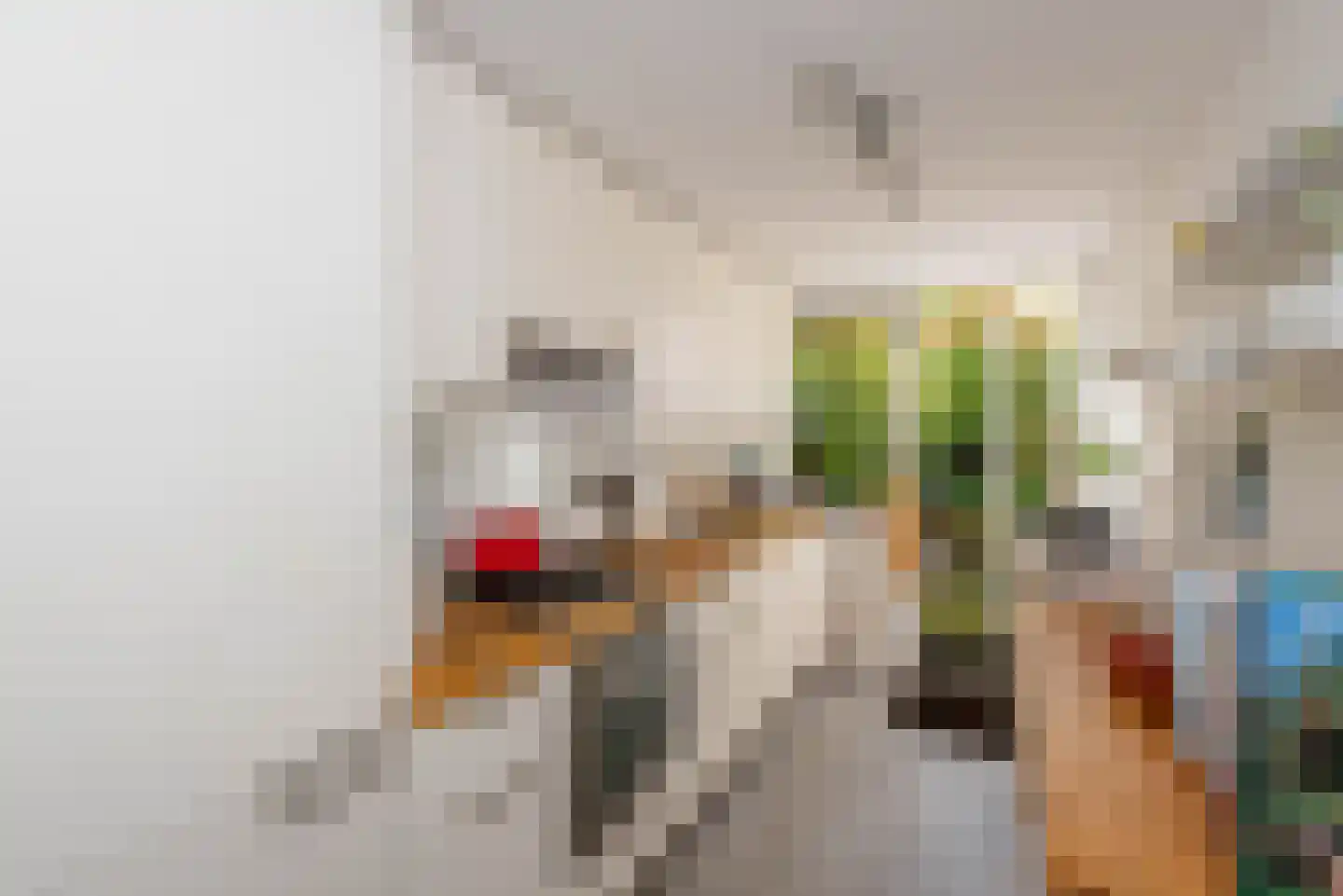 Iordensstraat 4 Haarlem thumbnail 18