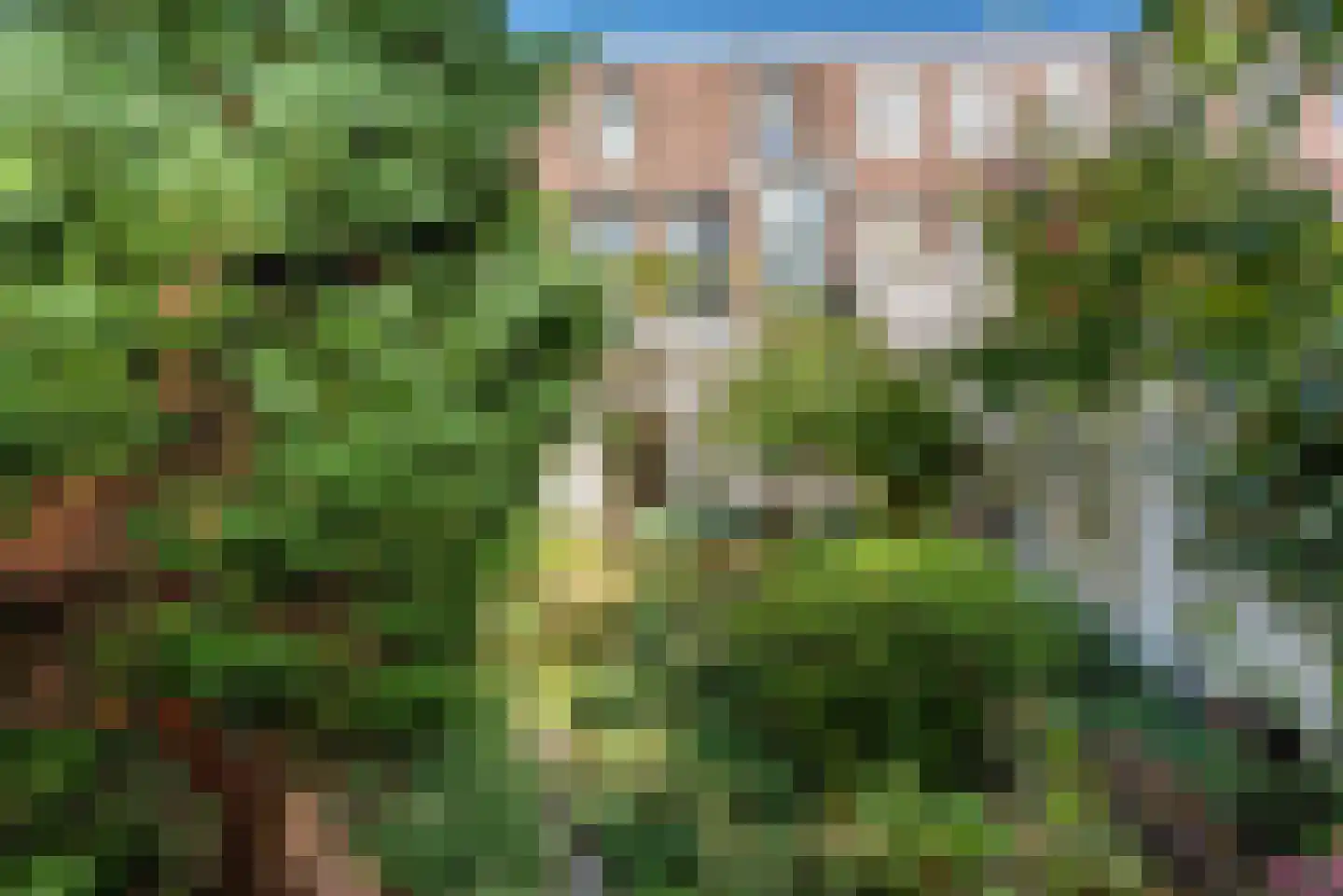 Iordensstraat 4 Haarlem thumbnail 4