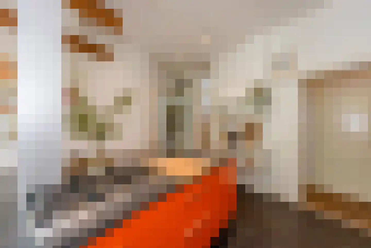 Iordensstraat 76 ZW Haarlem thumbnail 27