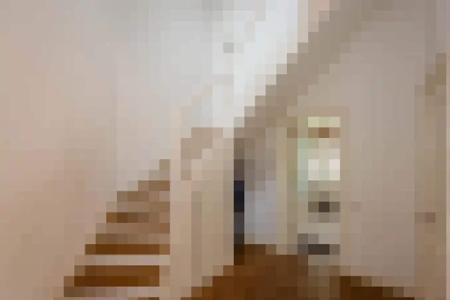 Iordensstraat 76 ZW Haarlem thumbnail 4