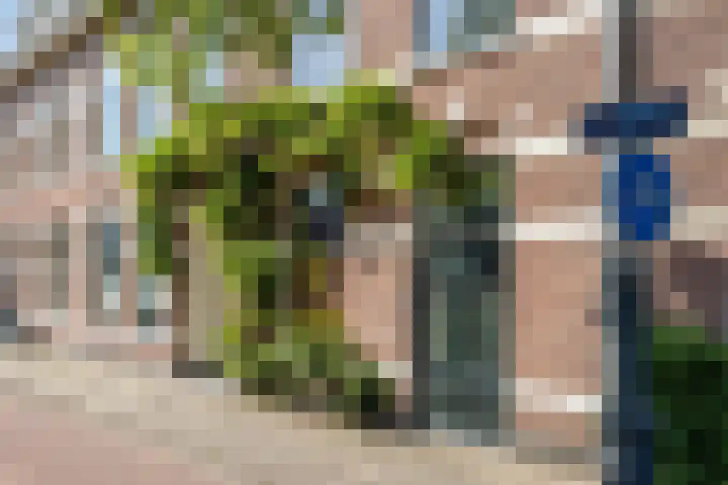 Iordensstraat 76 ZW Haarlem thumbnail 8