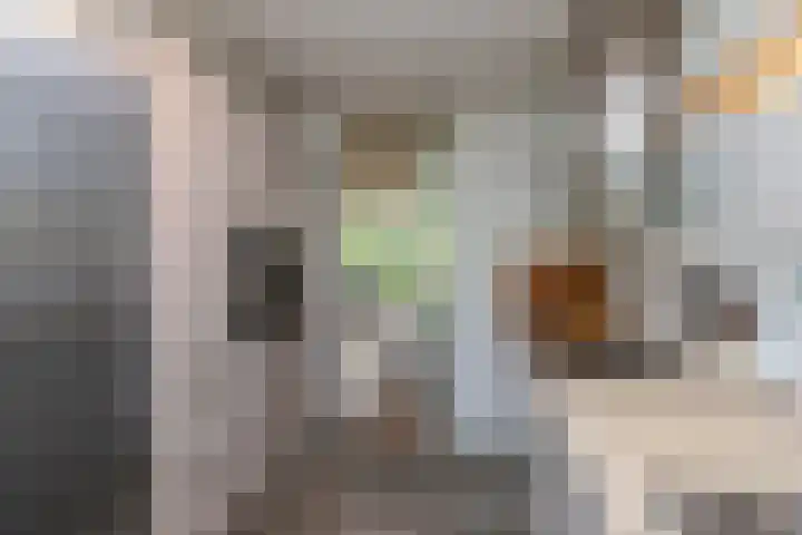 Ipenrodeplantsoen 17 Den Haag thumbnail 10