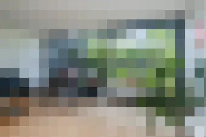 Ipenrodeplantsoen 17 Den Haag thumbnail 14
