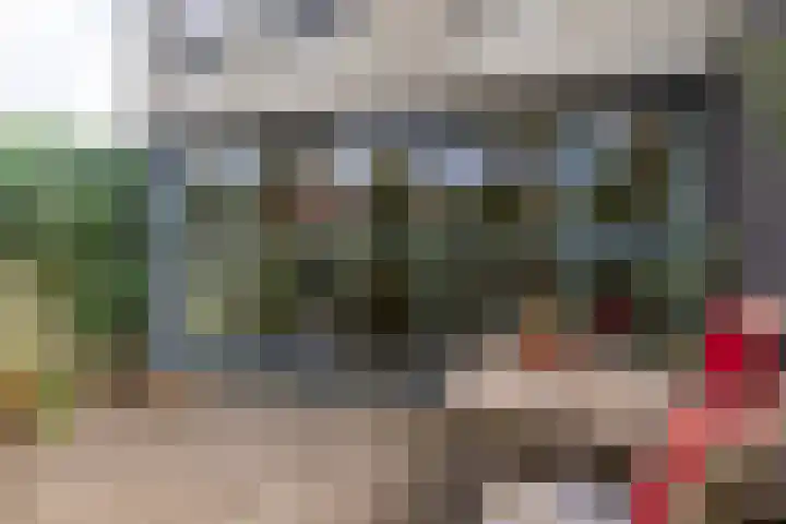 Ipenrodeplantsoen 17 Den Haag thumbnail 15