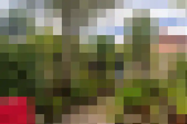 Ipenrodeplantsoen 17 Den Haag thumbnail 16